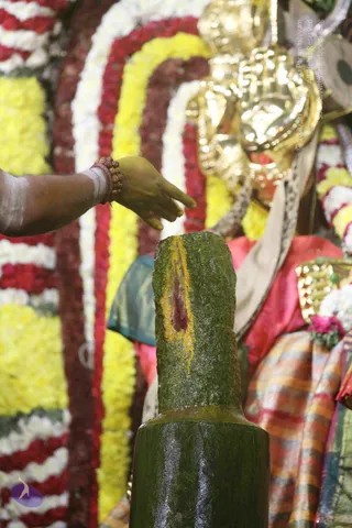 4-Swayumbhu-Linga-Abhisekam_Photo_1048_7T7A9205_CMP_WM