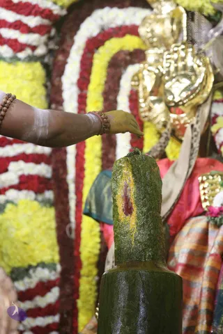 4-Swayumbhu-Linga-Abhisekam_Photo_1049_7T7A9206_CMP_WM