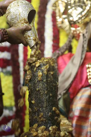 4-Swayumbhu-Linga-Abhisekam_Photo_1066_7T7A9296_CMP_WM