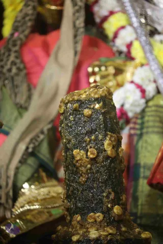 4-Swayumbhu-Linga-Abhisekam_Photo_1069_7T7A9303_CMP_WM