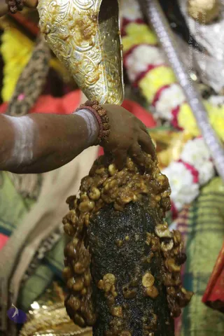 4-Swayumbhu-Linga-Abhisekam_Photo_1070_7T7A9304_CMP_WM