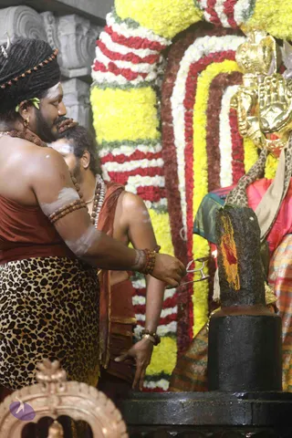 4-Swayumbhu-Linga-Abhisekam_Photo_1087_7T7A9379_CMP_WM