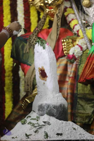 4-Swayumbhu-Linga-Abhisekam_Photo_1100_7T7A9411_CMP_WM