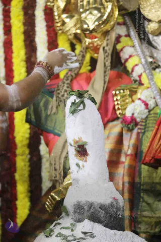 4-Swayumbhu-Linga-Abhisekam_Photo_1101_7T7A9412_CMP_WM