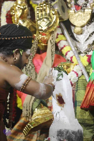 4-Swayumbhu-Linga-Abhisekam_Photo_1113_7T7A9475_CMP_WM