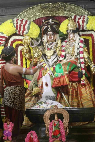 4-Swayumbhu-Linga-Abhisekam_Photo_1119_7T7A9494_CMP_WM
