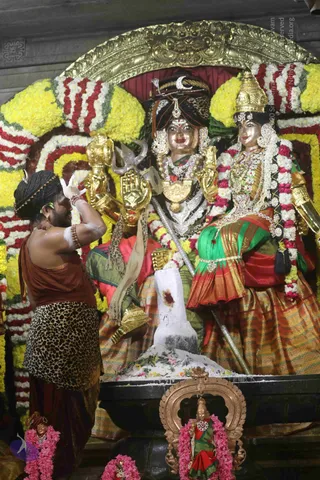 4-Swayumbhu-Linga-Abhisekam_Photo_1120_7T7A9495_CMP_WM