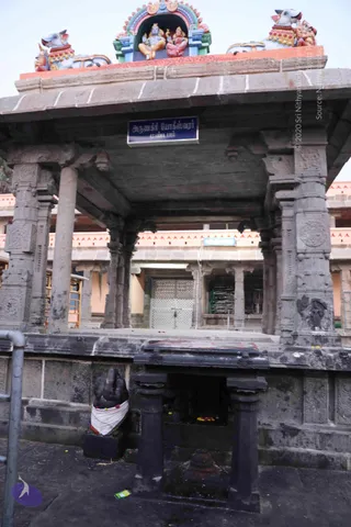 3-Shiva-Deeksha-Kalpataru_Photo_1052_7T9A0624_CMP_WM